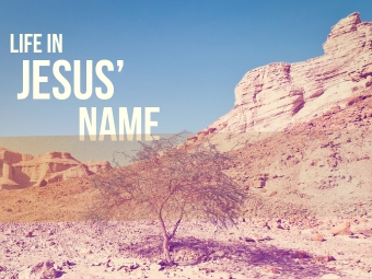 Life In Jesus' Name sermon gra
