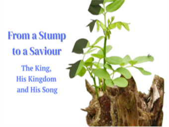 From a Stump to a Saviour
