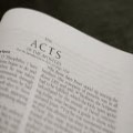 Acts